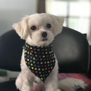 Meet your Posher, Magie